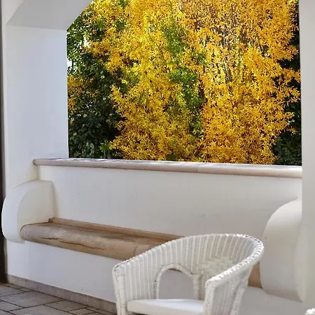Carrubo Peroscia Antonelli